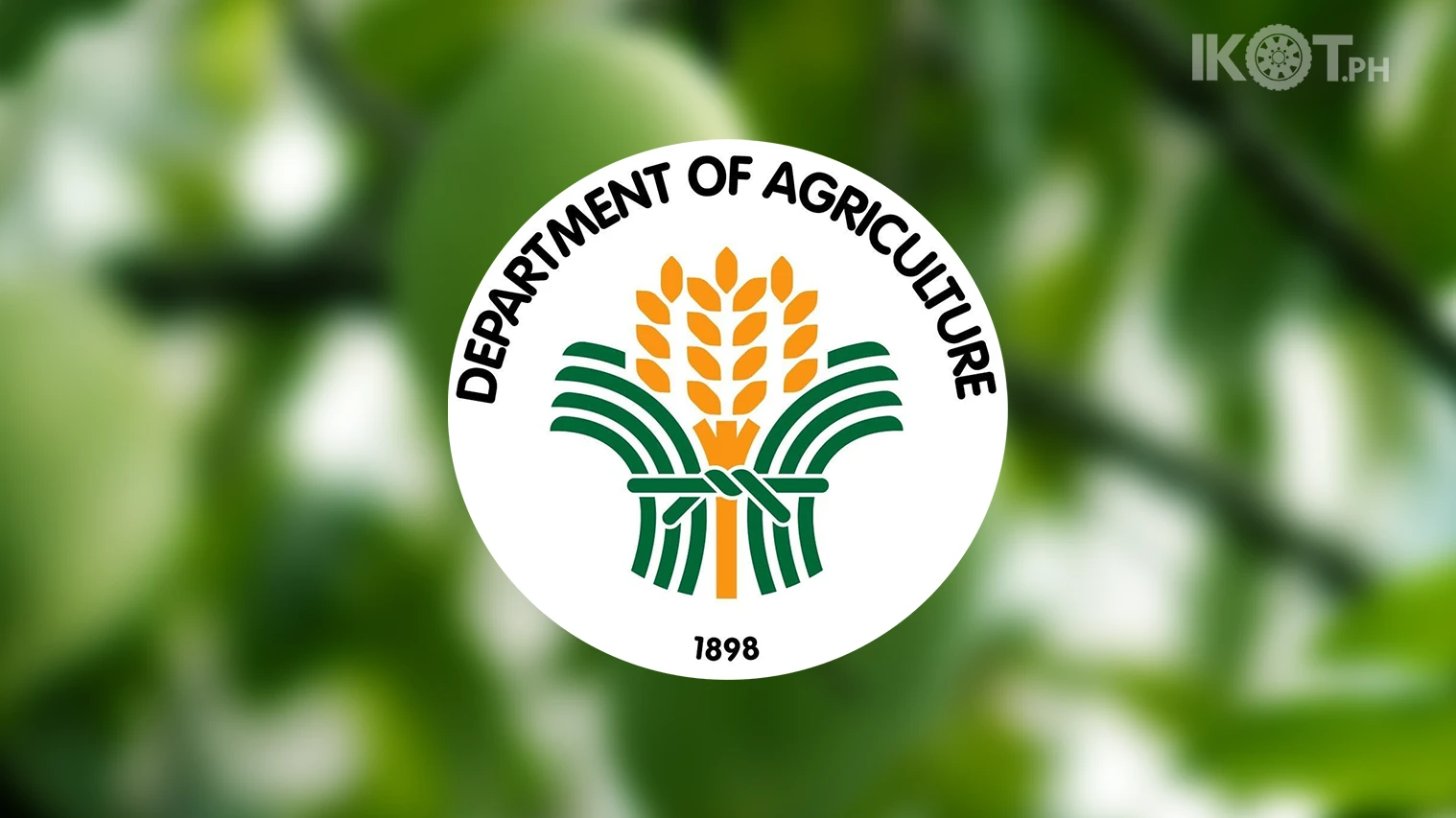 DA: US FIRM TO HELP FIGHT CECID FLIES IN PALAWAN — IKOT.PH